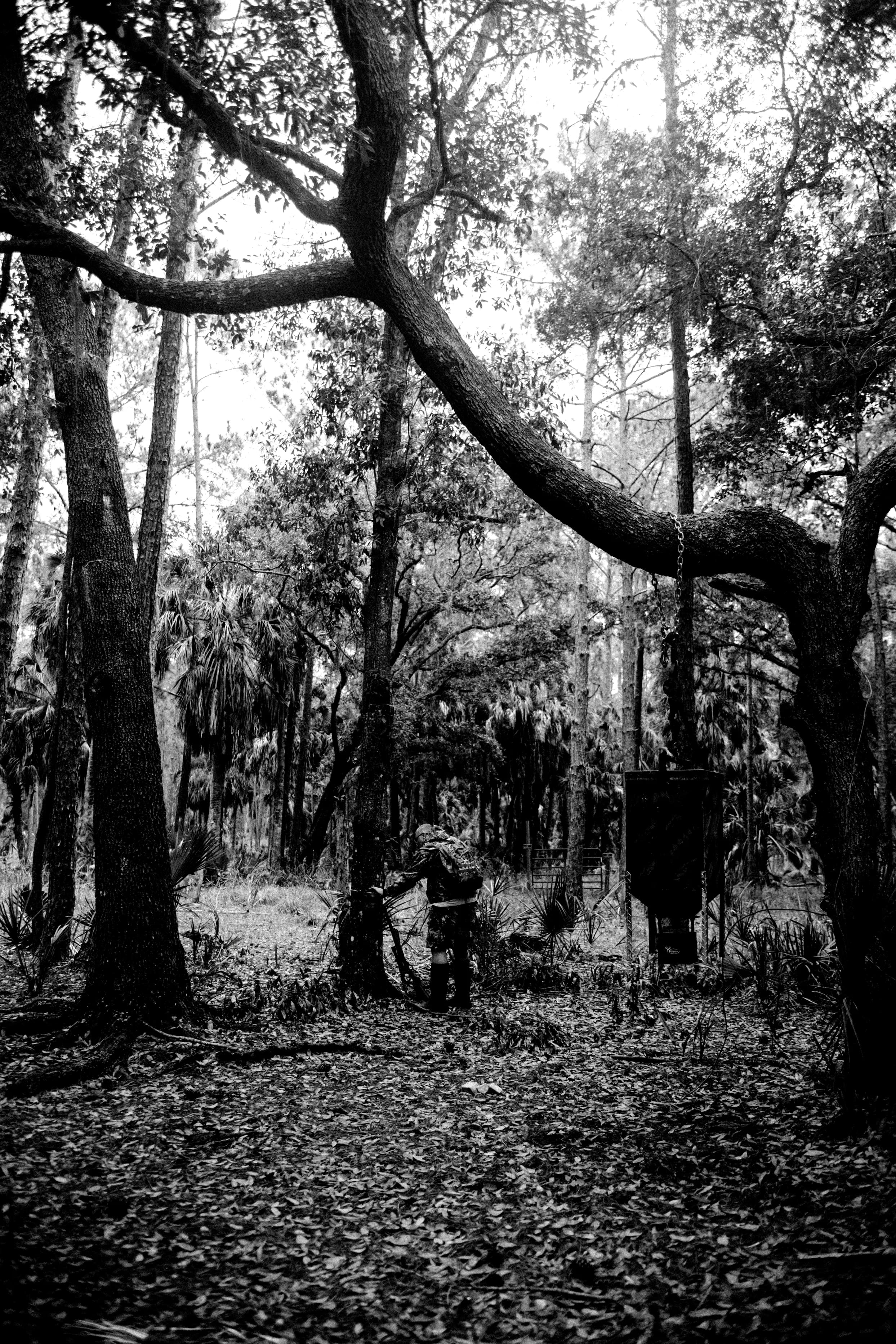 Background image for quote by Gain insider access to top guides with unmatched local knowledge and years of field experience.