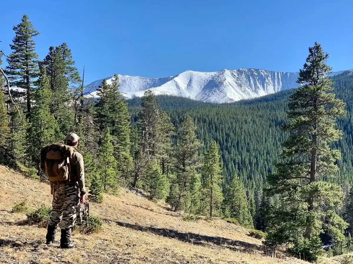 A hunter pauses on a timbered ridge to look out over a snow-capped mountain basin