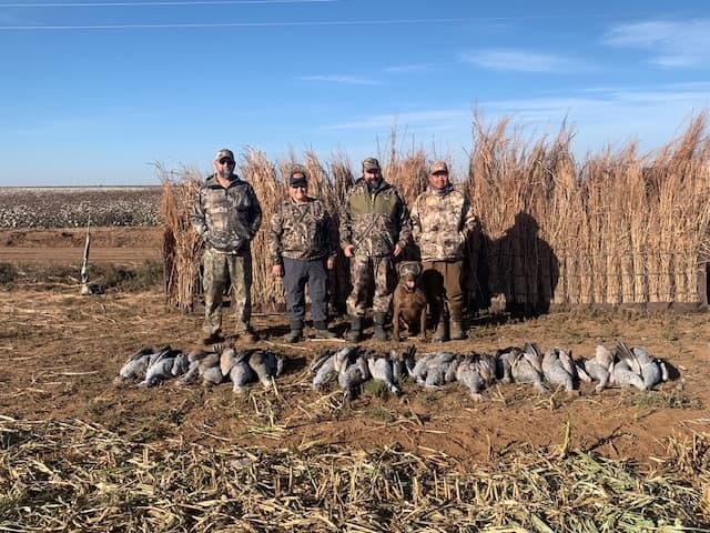 Four hunters and a dog posing in front of a hunting blind with harvested sandhill cranes.