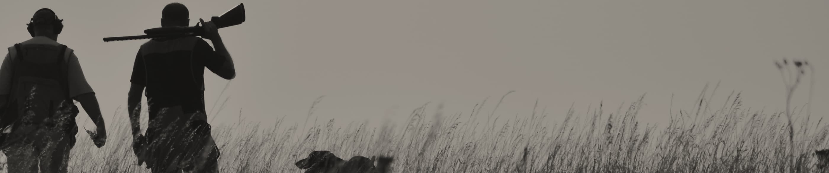 Testimonial background