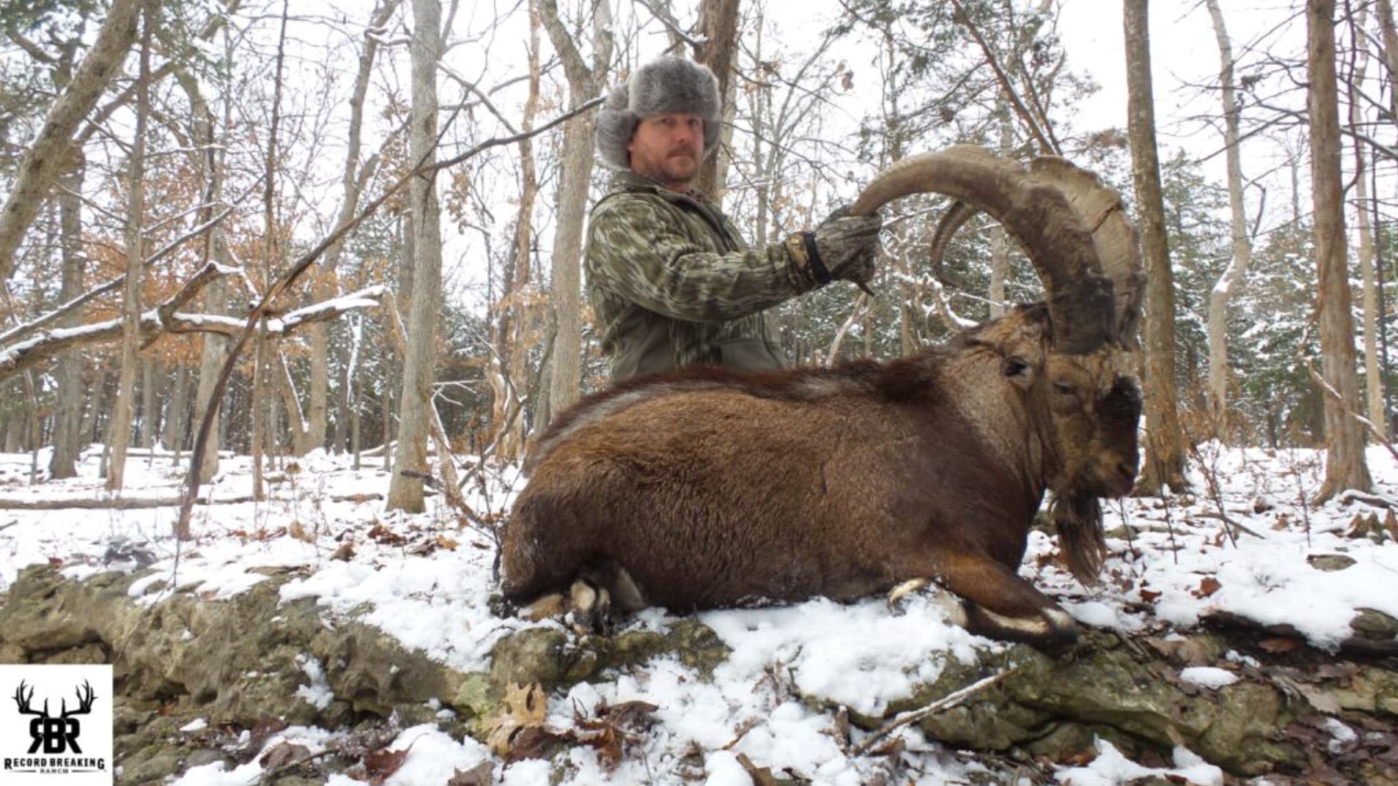 3-Day Missouri Estate Exotic Hunt
