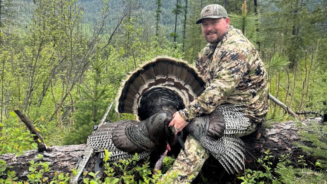 Hunter with a fanned-tail turkey in a wooded area.