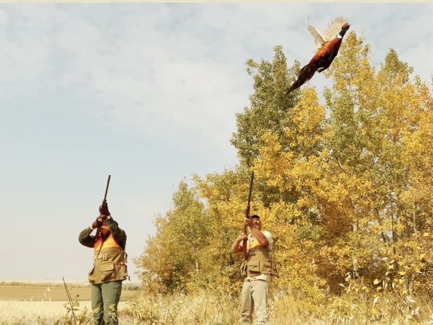 Two hunters aim rifles at a pheasant flying through the air in front of autumn trees.