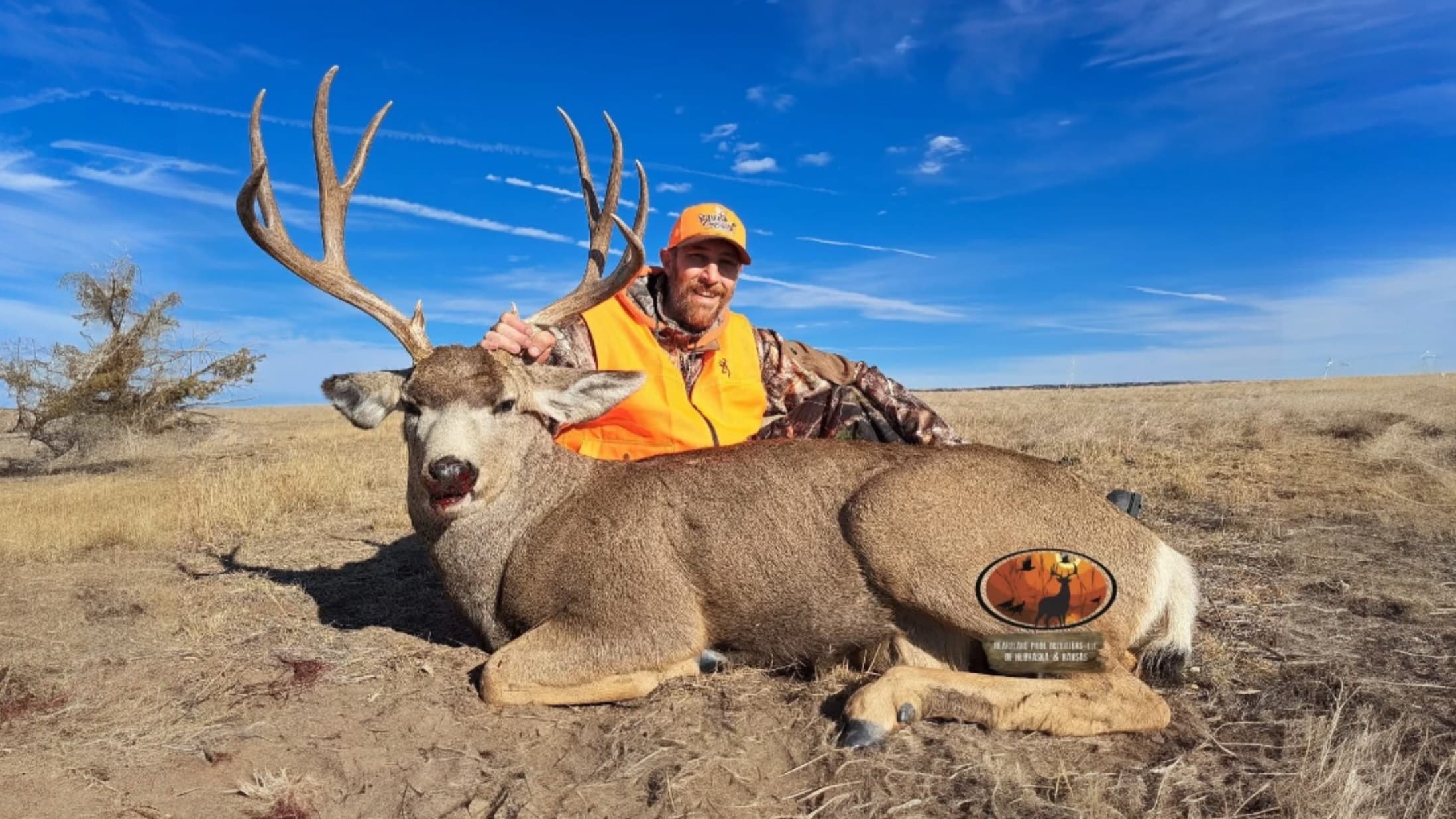 Man with a large buck deer, lying in field. Hunter wears orange vest & hat, holds antlers. Clear blue sky in background. ...