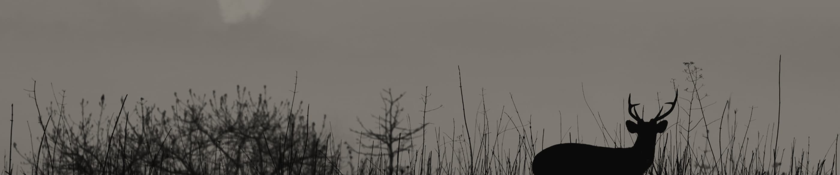 Testimonial background